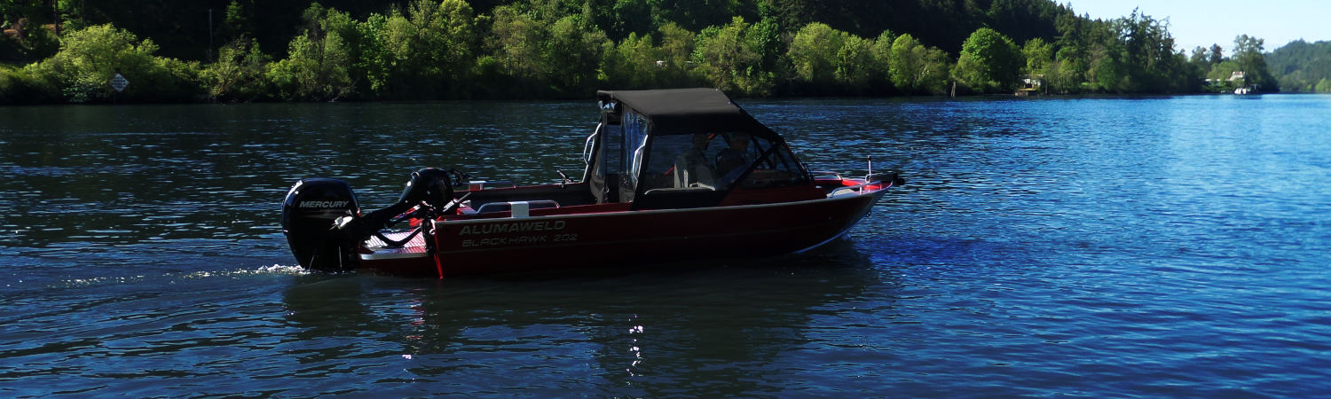 2020 Mercury Marine® Verado® 250 Base for sale in Johnson's Boats & Motors, Montello, Wisconsin